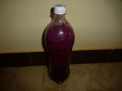How to Make Jamun Wine : 8 Steps (with Pictures) - Instructables