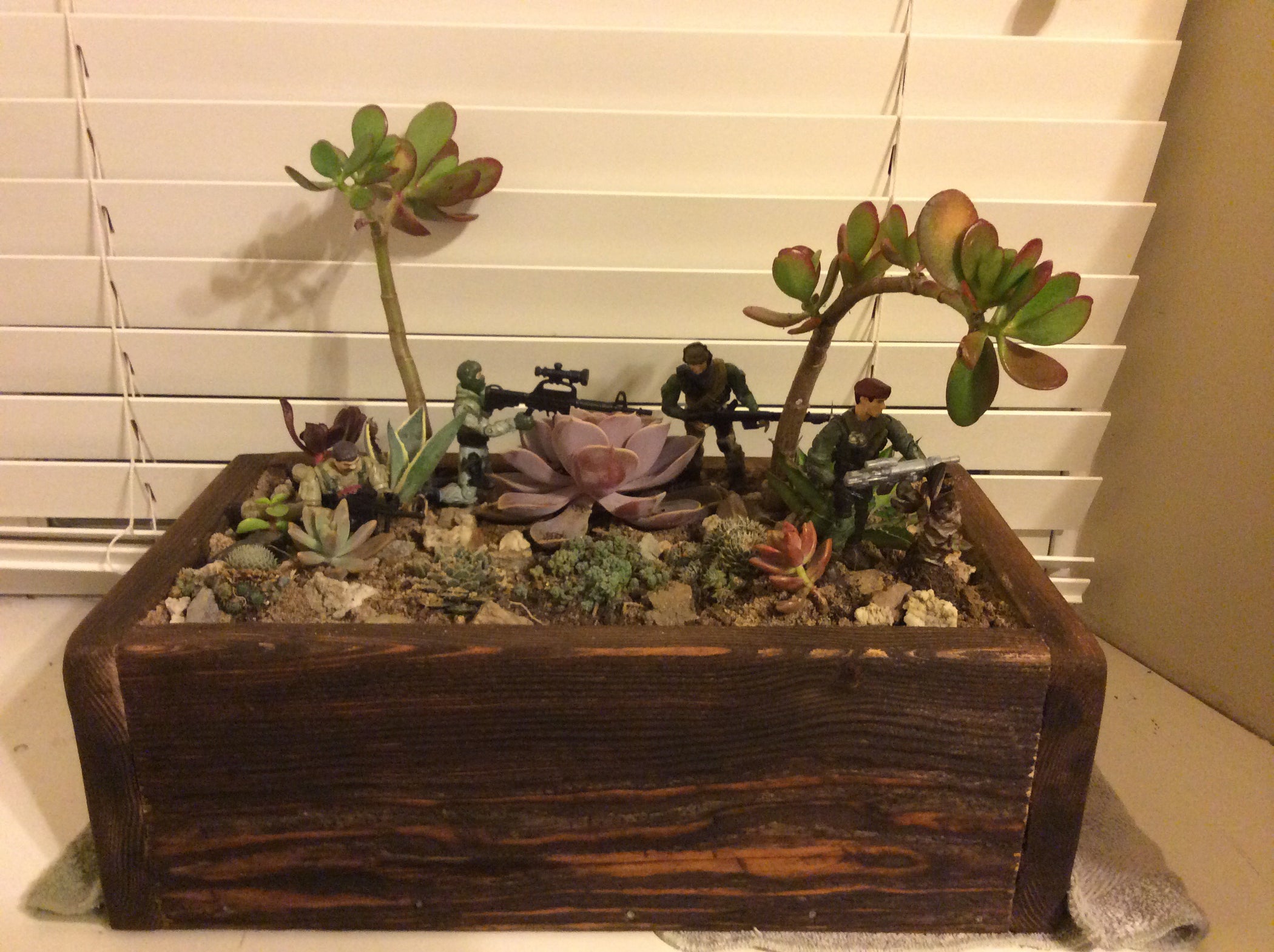 Easy, Cheap Cactus/Desert Terrarium 10 Steps (with Pictures