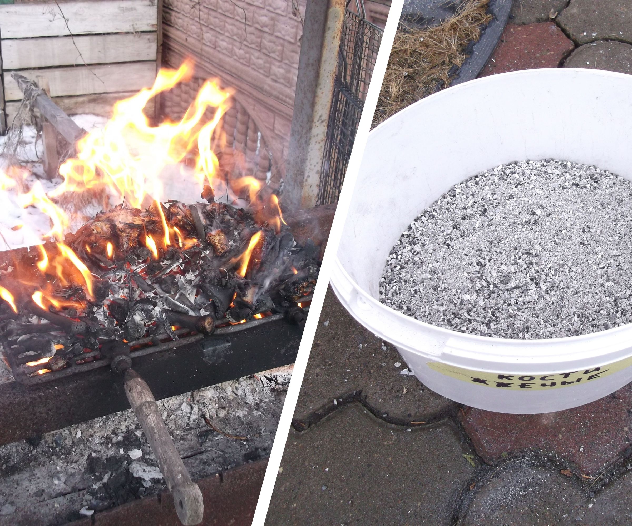 Animal Bones As Fuel and Fertilizer