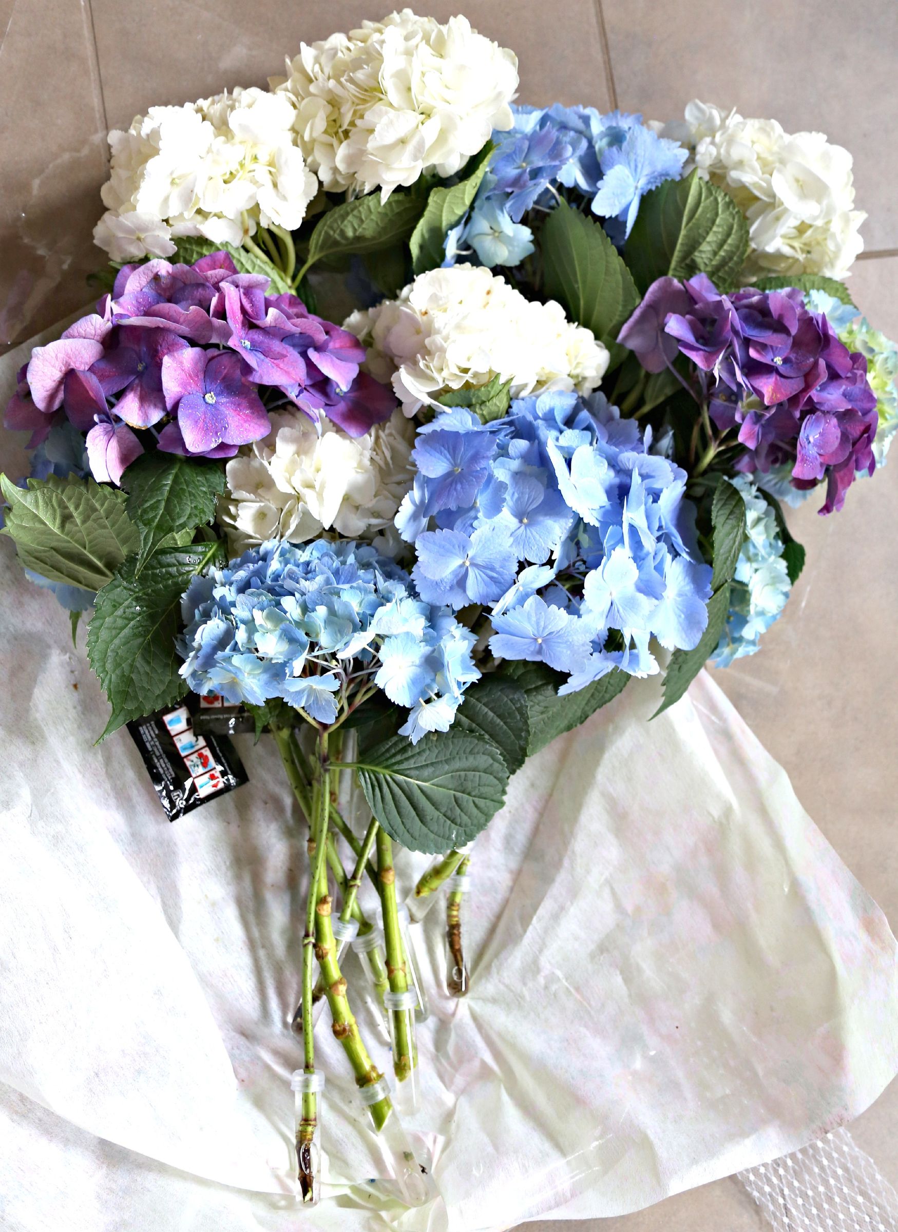 How to Make Flowers Last Longer 8 Steps (with Pictures) Instructables