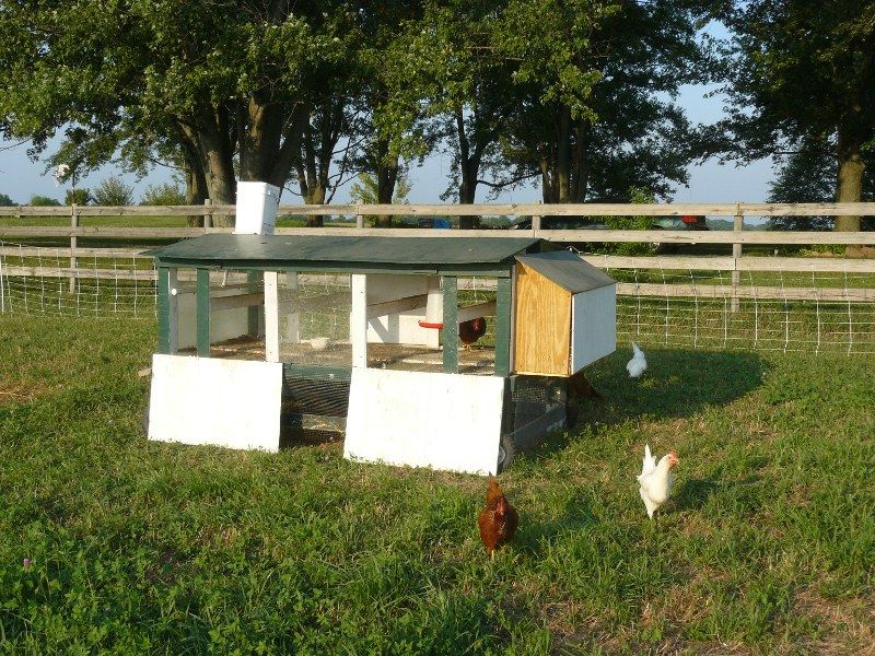 Guide to Chicken Coops Instructables