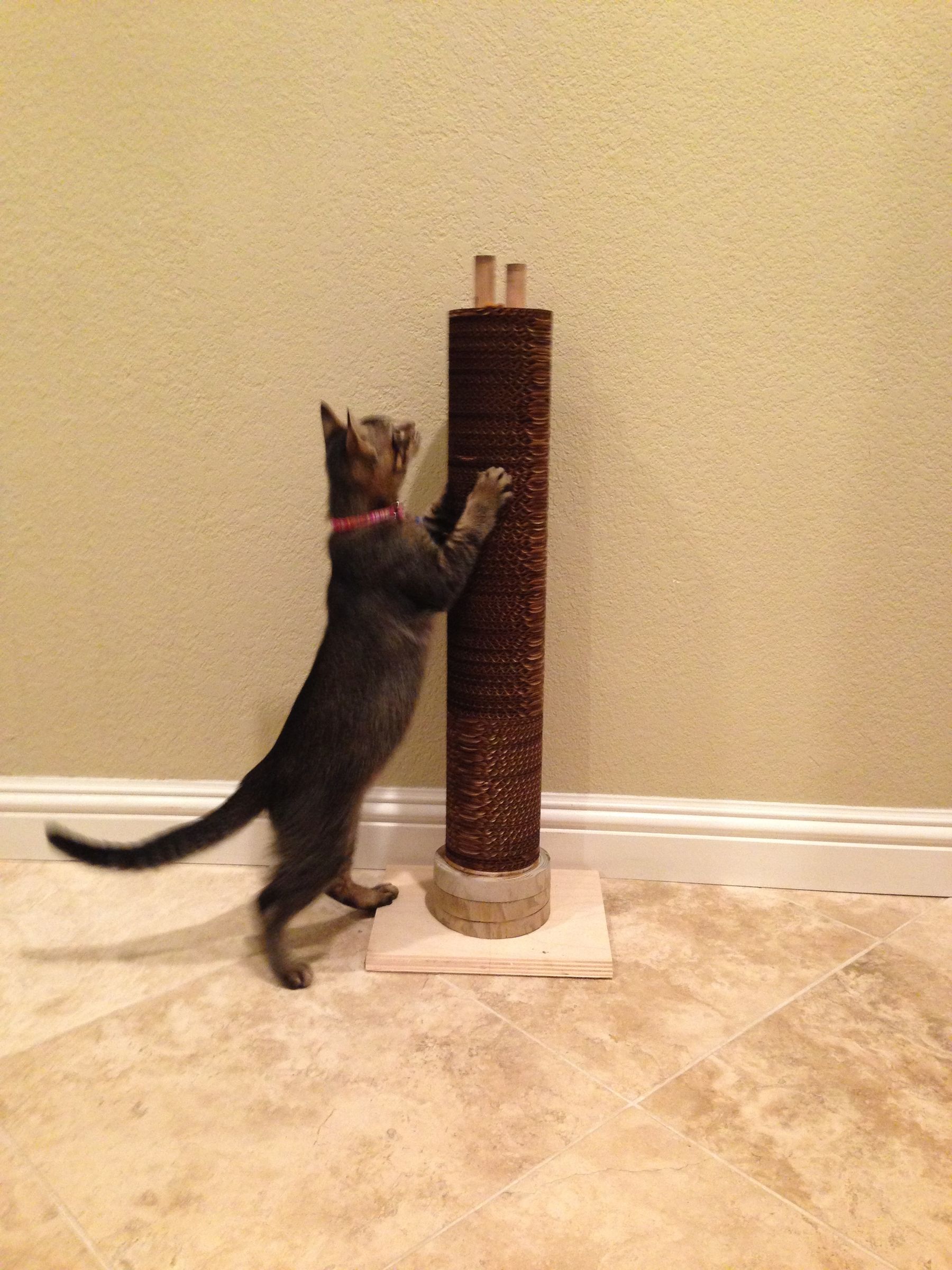 Cat Scratcher Tower 4 Steps (with Pictures) Instructables