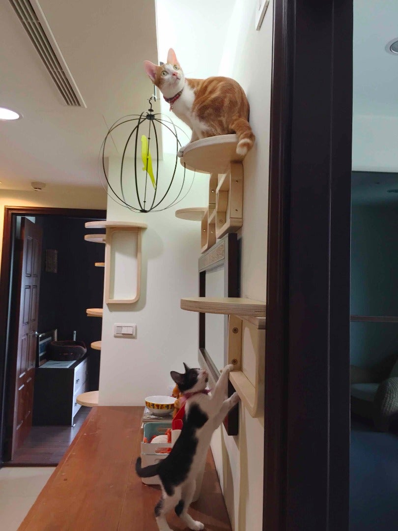 Cat Tree by Frosta X 6 Steps Instructables