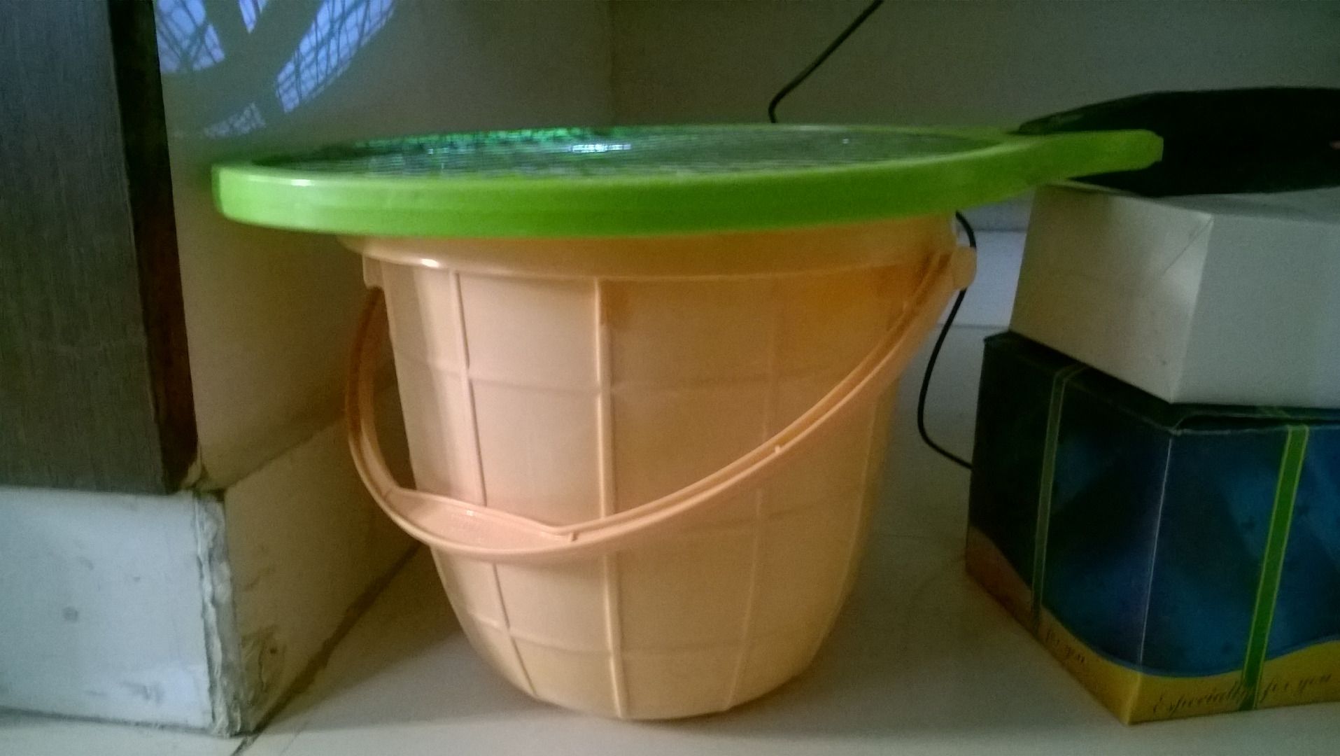 Automatic Mosquito Killing Bucket 5 Steps (with Pictures) Instructables