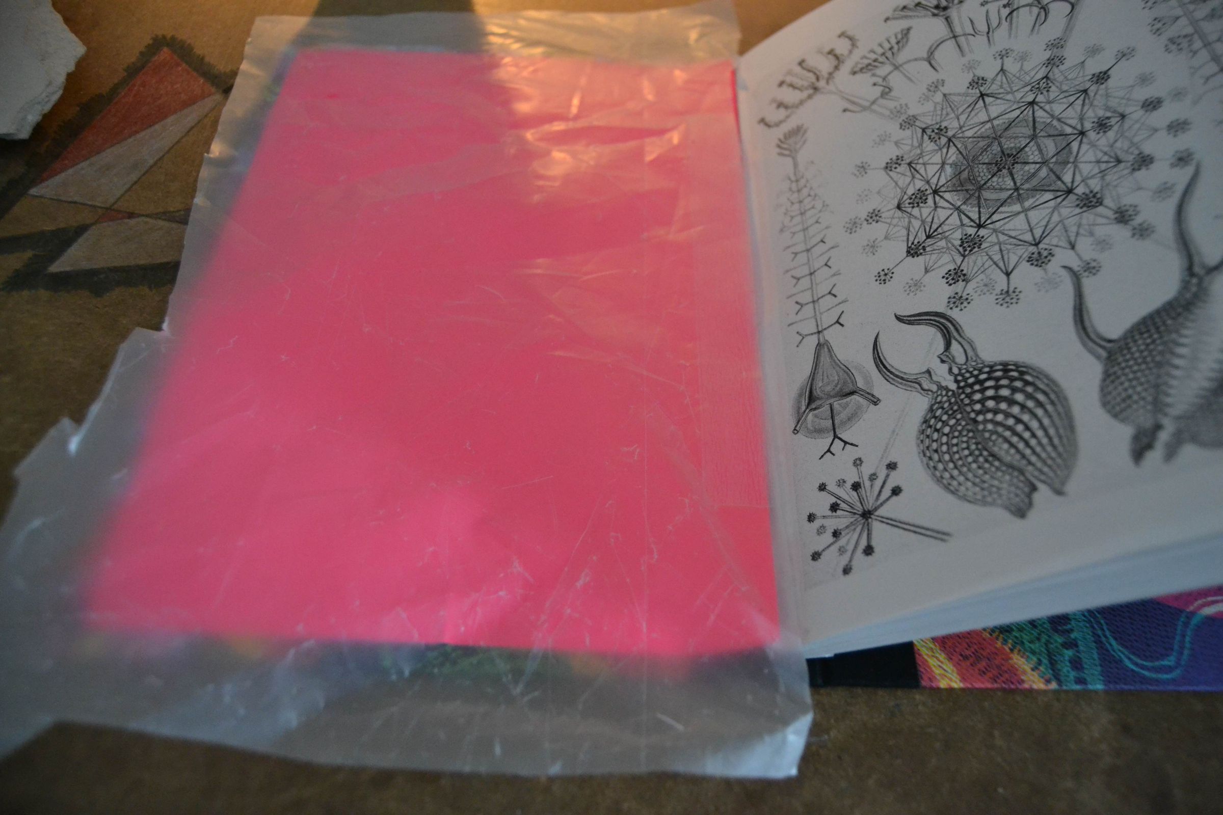 How to Bind a Book 8 Steps (with Pictures) Instructables