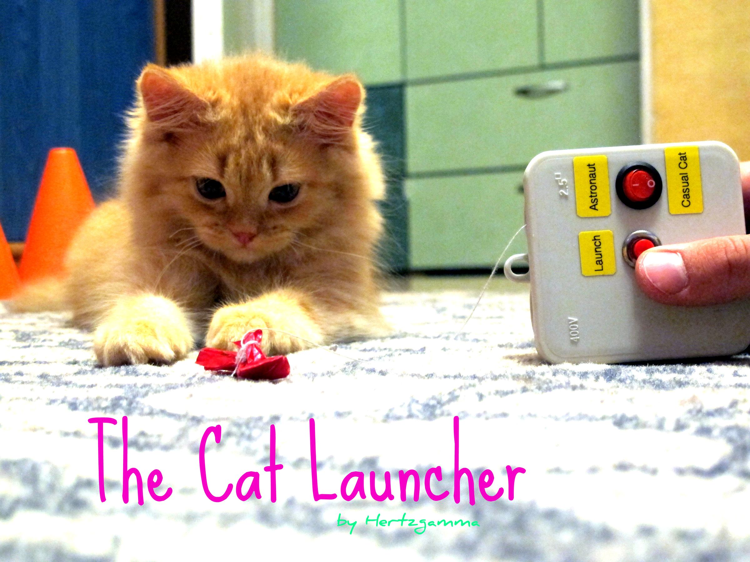 innovation pet kitty connection lattice ball launcher cat toy