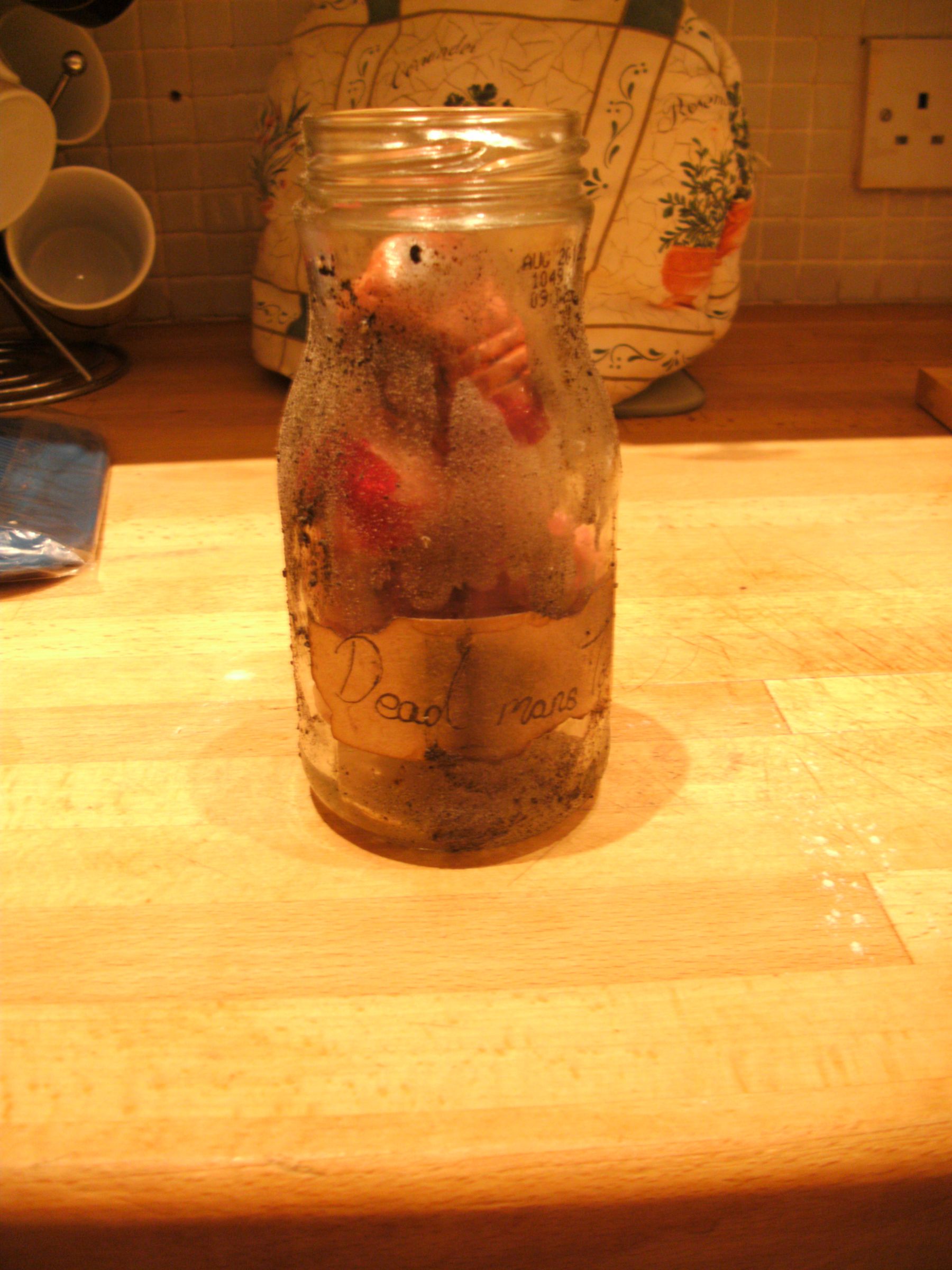 DIY guide for Dead Man's Toes with step-by-step instructions