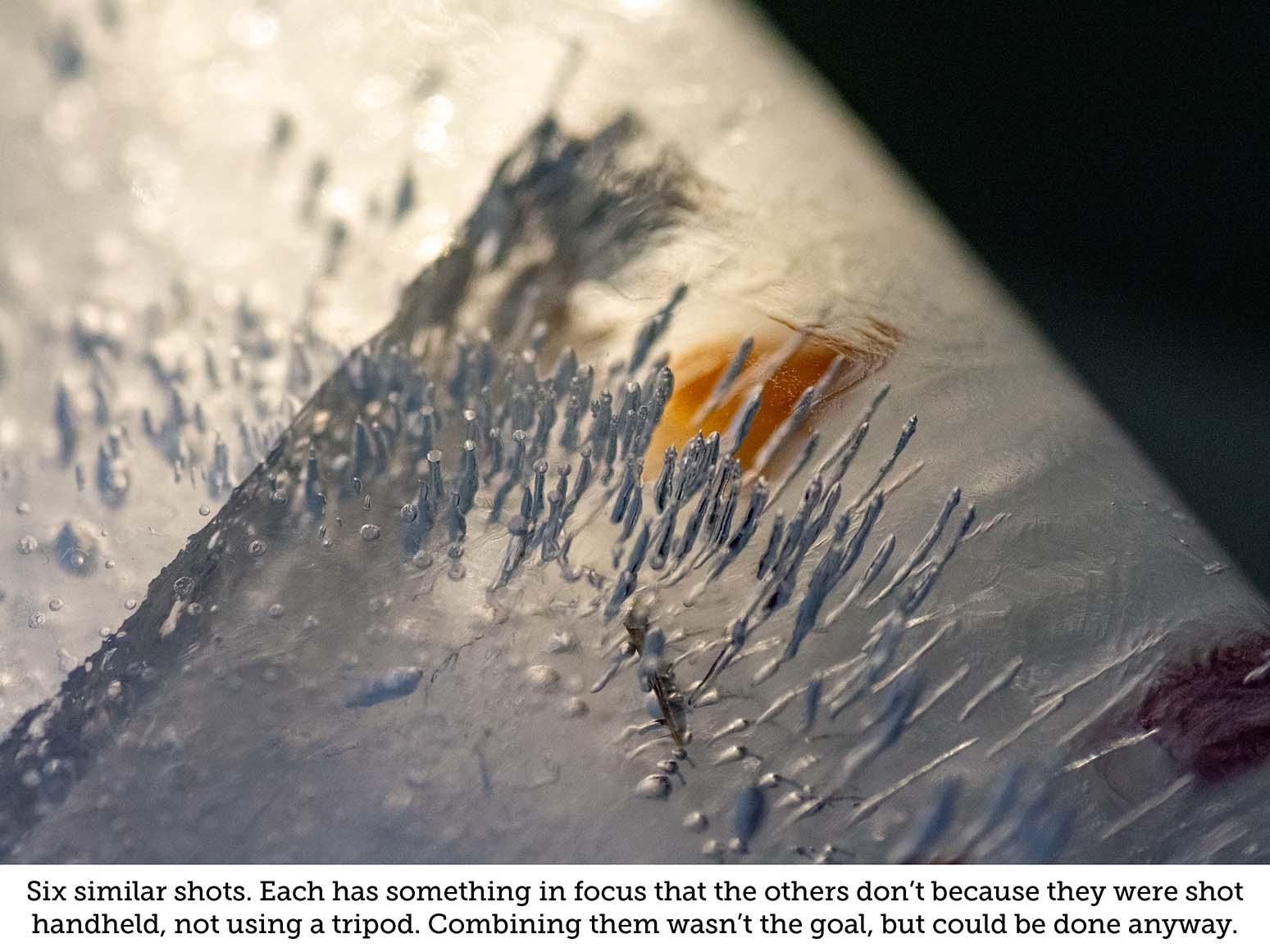 Ice Photography: Mind-blowing Macro : 14 Steps (with Pictures ...