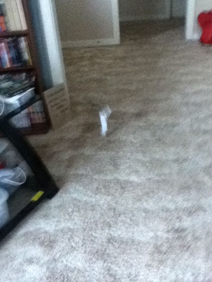 best and easiest plane ever (by my little brother, kyler) DIY Project DIY Project Image