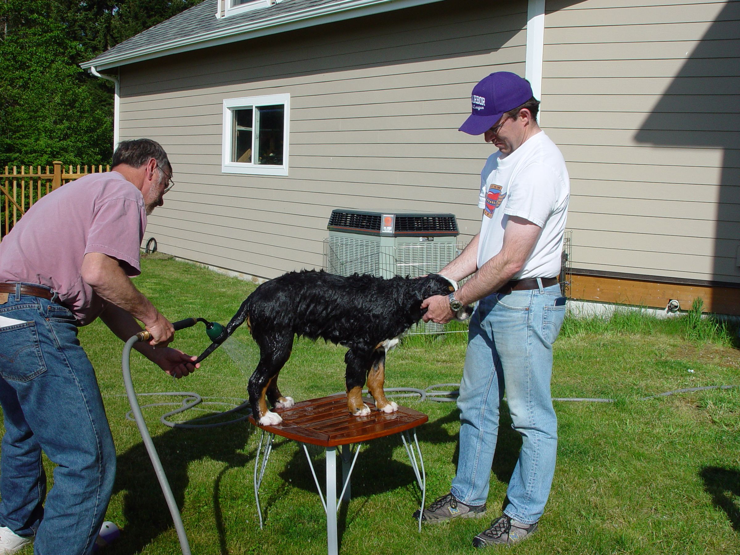 How to Give a Dog a Bath 4 Steps (with Pictures) Instructables