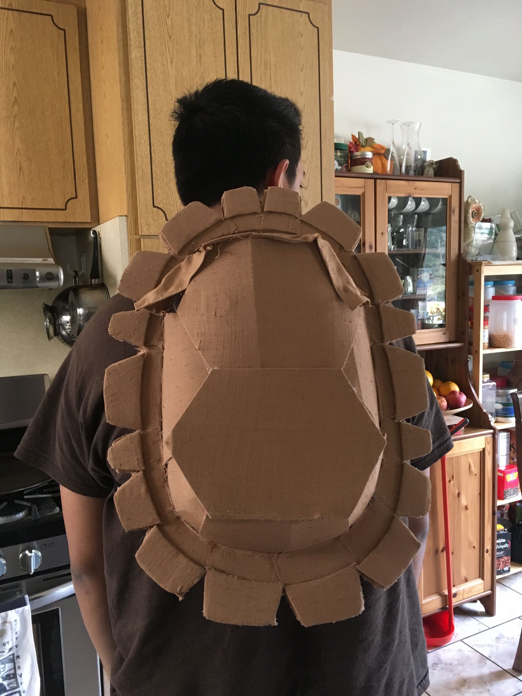 tortoise shell backpack