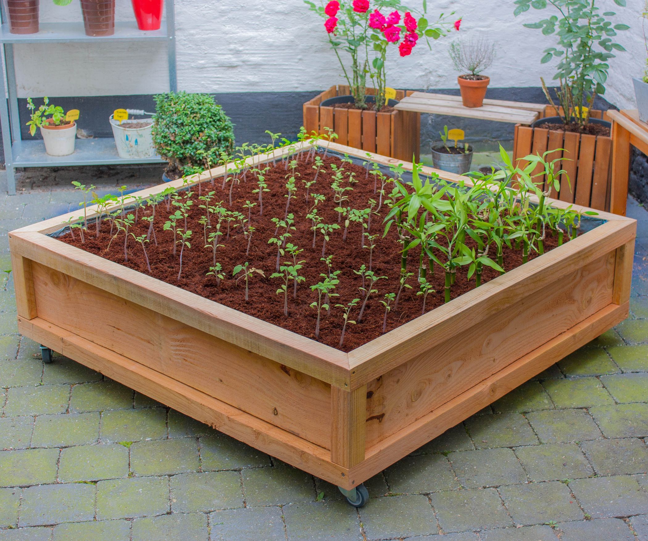 Square Meter Vegetable Garden on Wheels : 12 Steps (with Pictures
