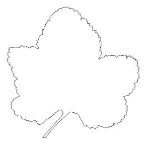 Inlay Leaf Design With Laser Cutter : 13 Steps (with Pictures ...