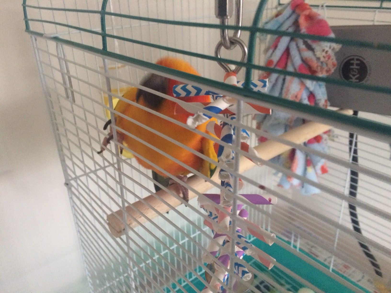 Bird Straw Toy Maker 7 Steps (with Pictures) Instructables