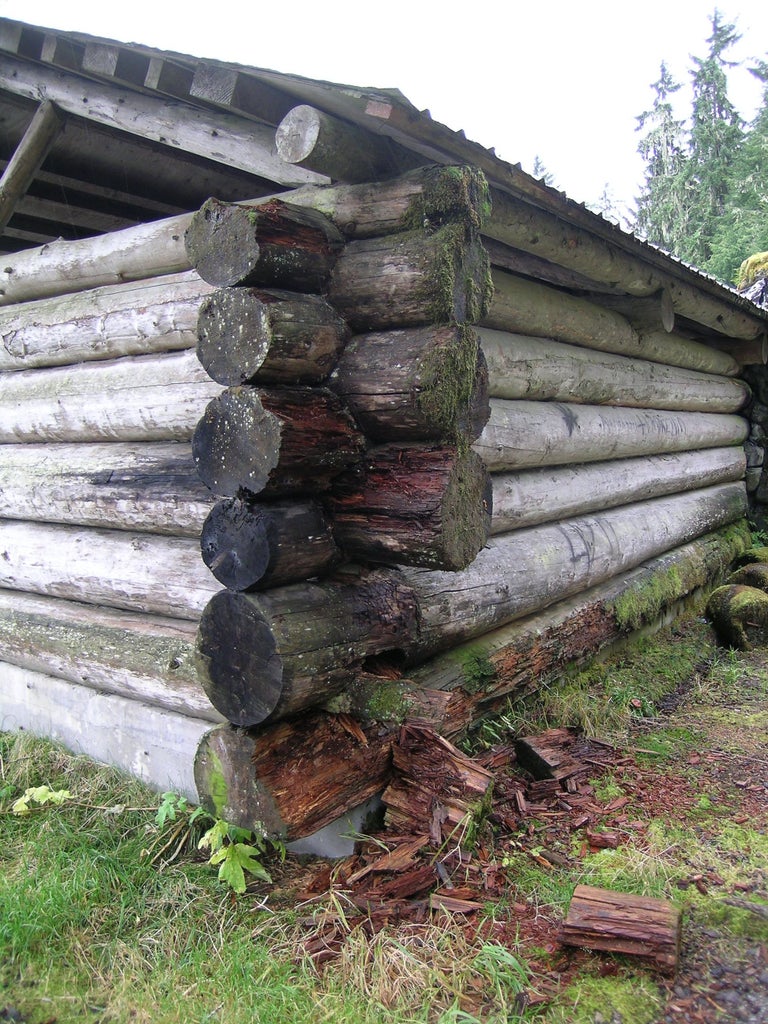 How To Build A Log Shelter : 11 Steps (With Pictures) - Instructables