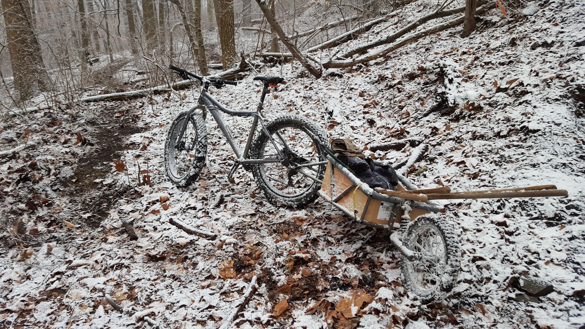 fat tire bike trailer