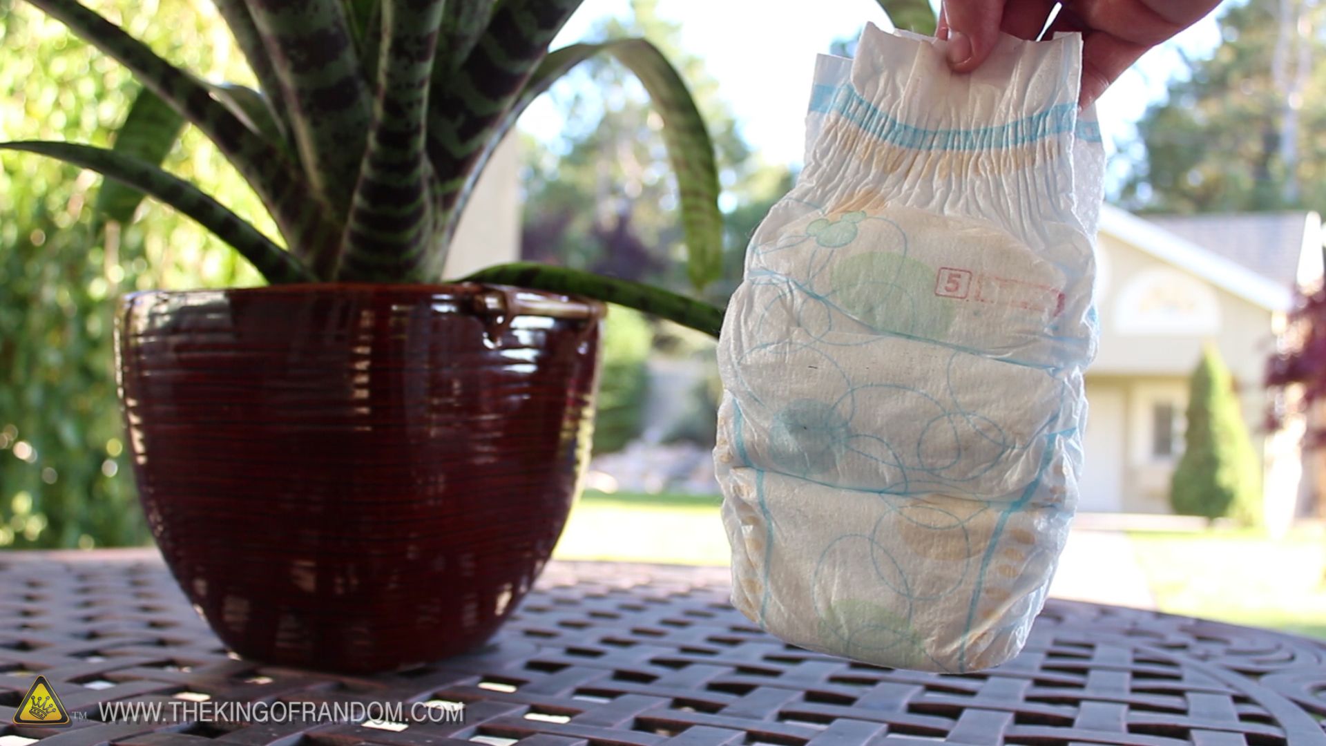 Diapers Help Your Plants Grow! 6 Steps (with Pictures) Instructables
