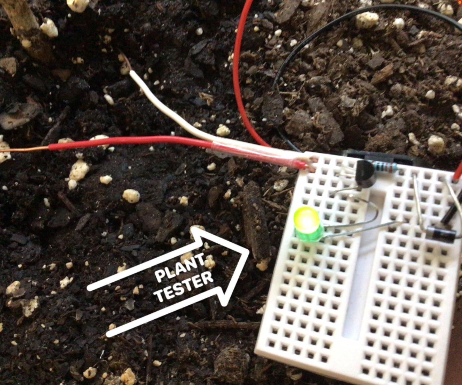 Plant Tester