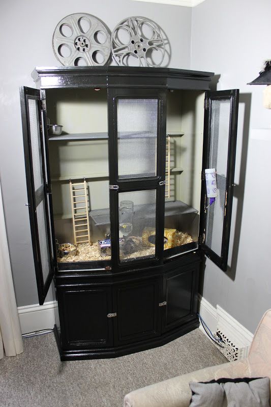 rat hutch