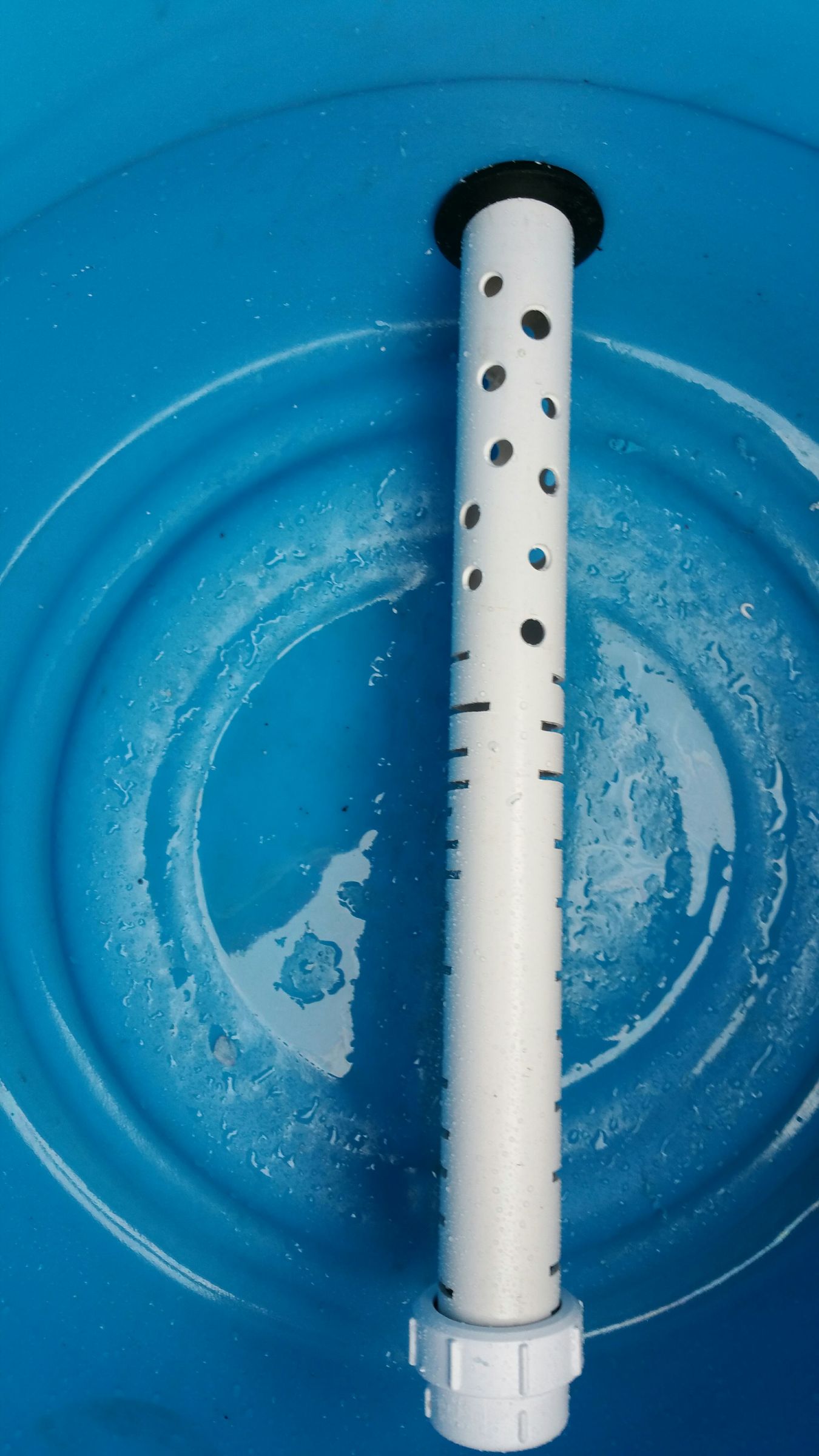 Fruit Trees in Aquaponics Using Dutch Buckets 6 Steps (with Pictures