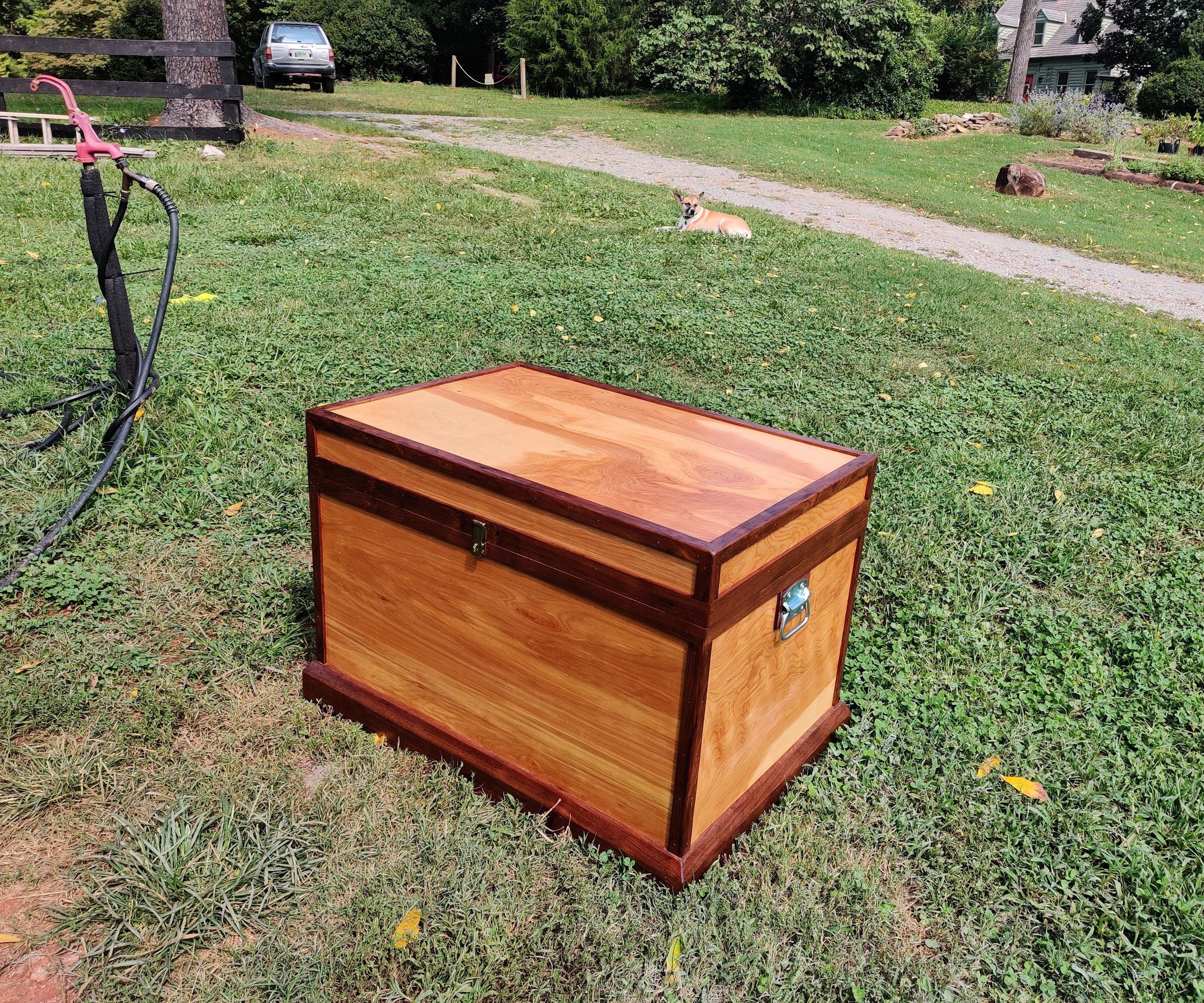 Nowaste Plywood Trunk With Lid Storage and Walnut Trim 16 Steps