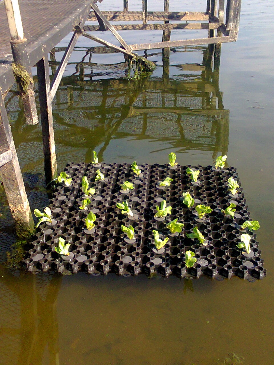 Aquaponics And Hydroponics Gl Aquaponic Interlocking Raft System Glairs 4 Steps Instructables Aquaponics And Hydroponics Gl Aquaponic Interlocking Raft System Glairs 4 Steps Instructables