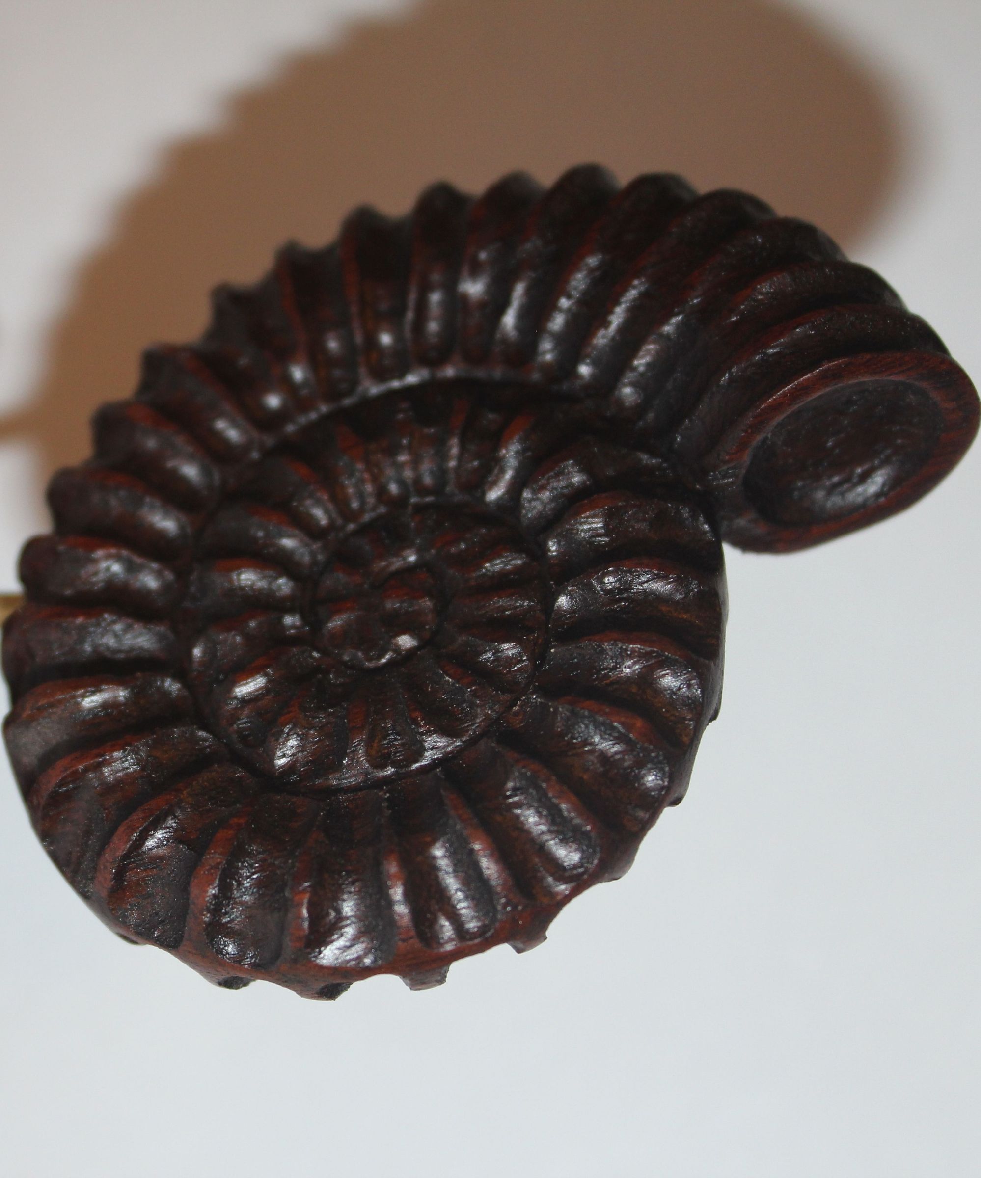 ammonite (power carving) DIY Project DIY Project Image