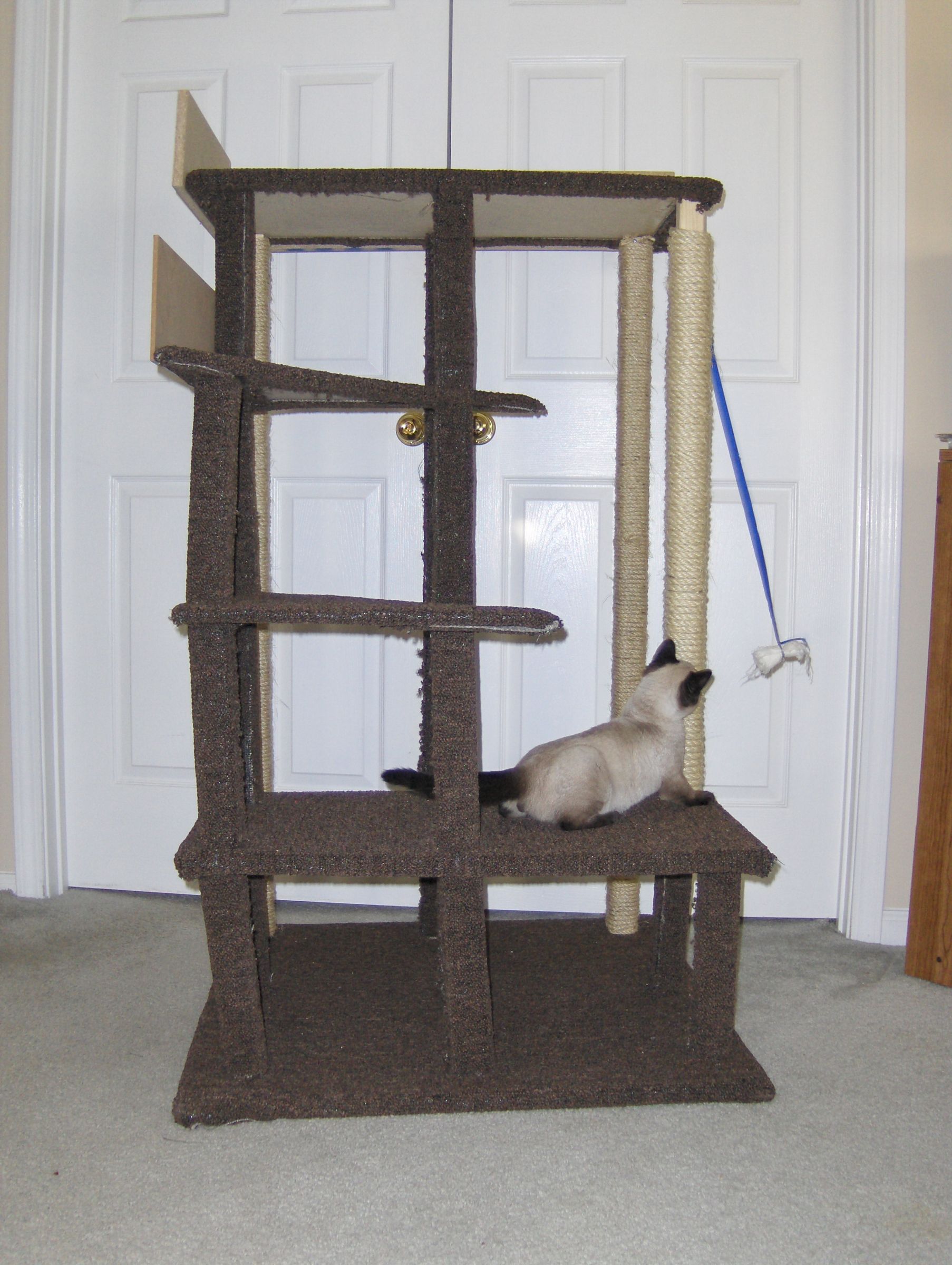 multi cat cat tree
