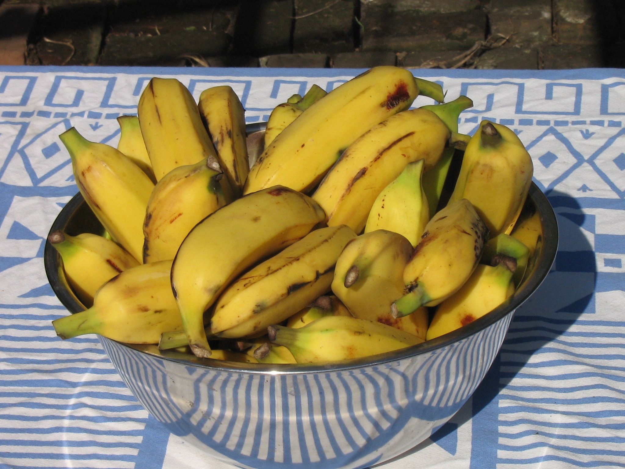 Dried Banana Chips 4 Steps (with Pictures) Instructables