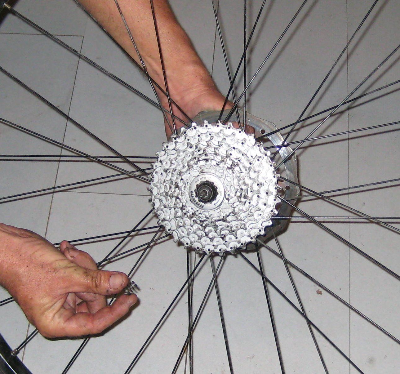 Fix Your Bike. Grease Your Bearings and Change Your Freewheel. 14