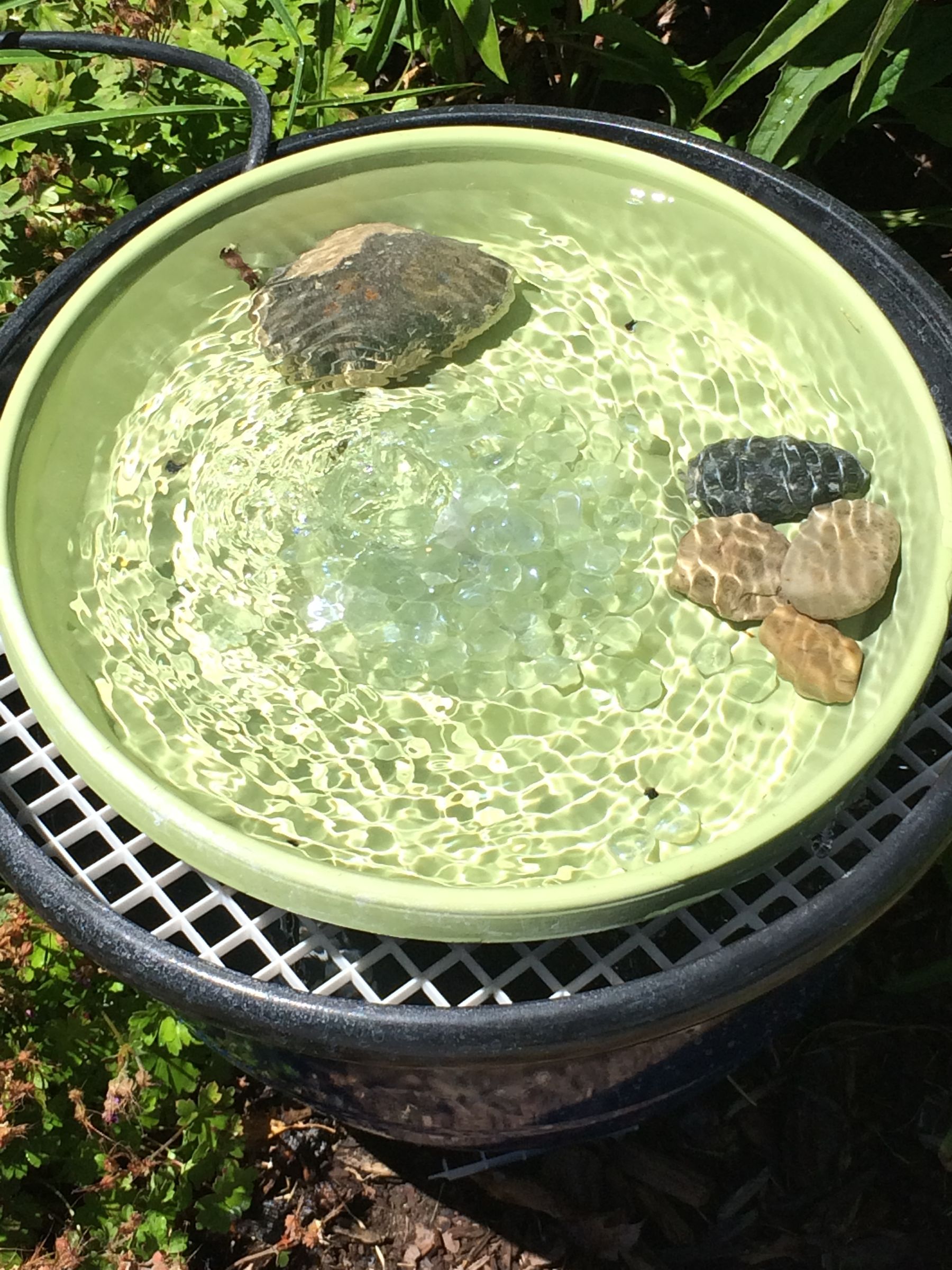 Recirculating Bird Bath/fountain (with Pictures) Instructables