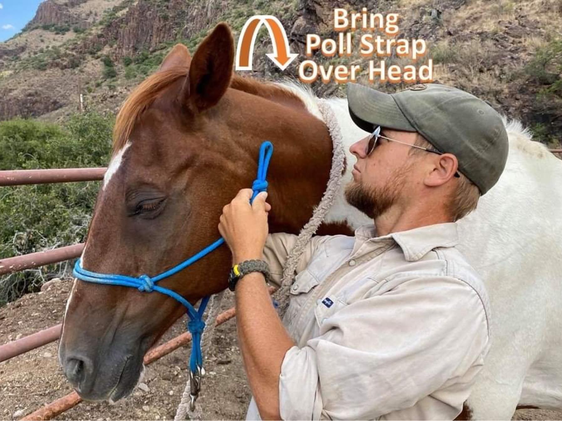 How to Halter a Horse Fit & Tie a Rope Halter 6 Steps (with