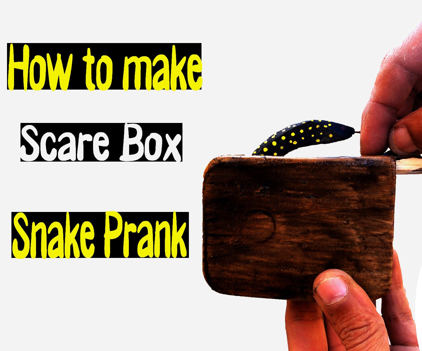 How to Make Scare Box Snake Prank (Tutorial ) Instructables