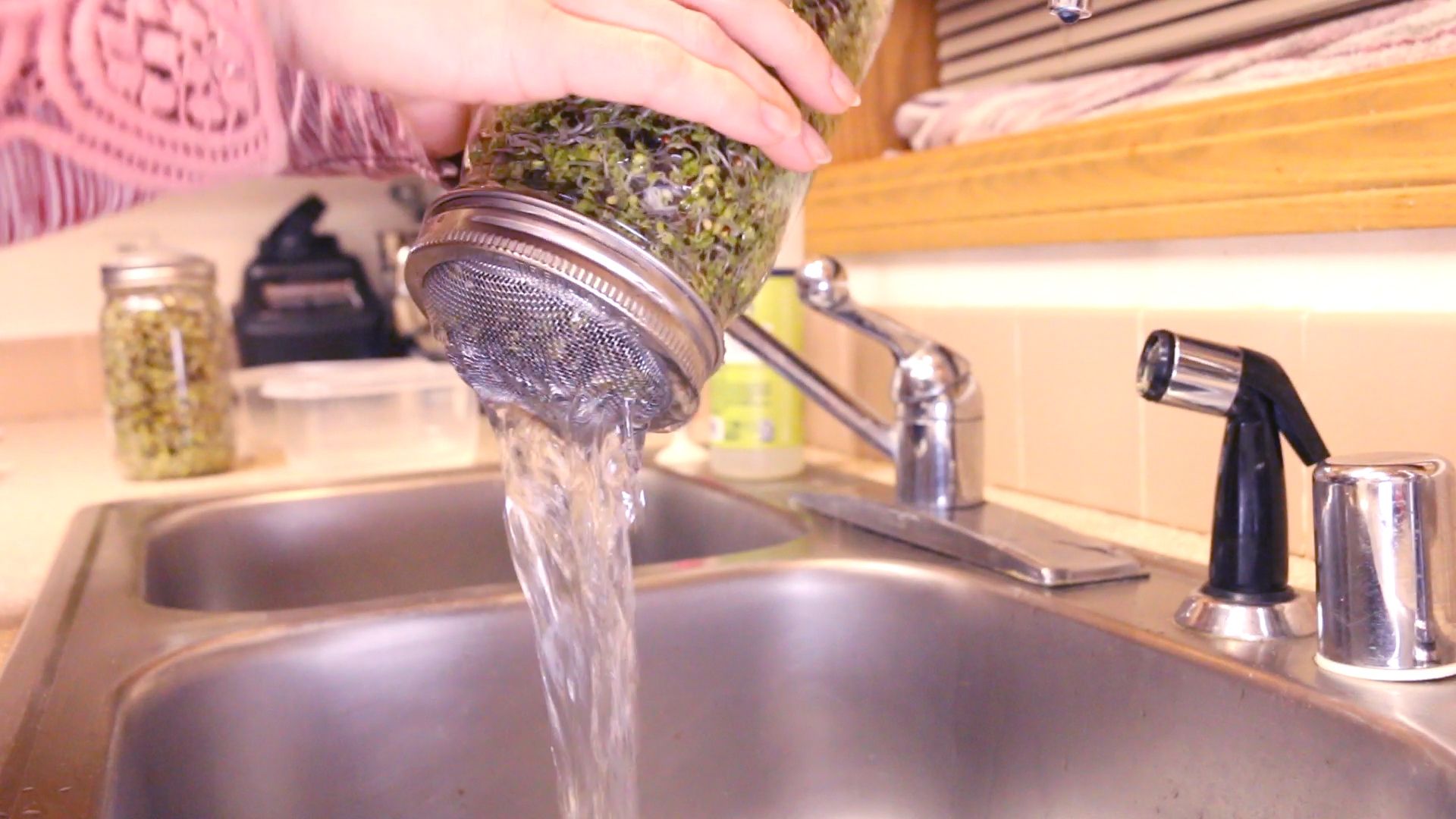 How to Grow Broccoli Sprouts in a Jar 6 Steps (with Pictures