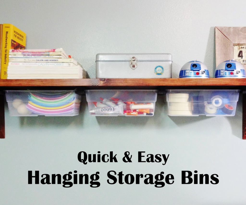 Hanging Storage Bins