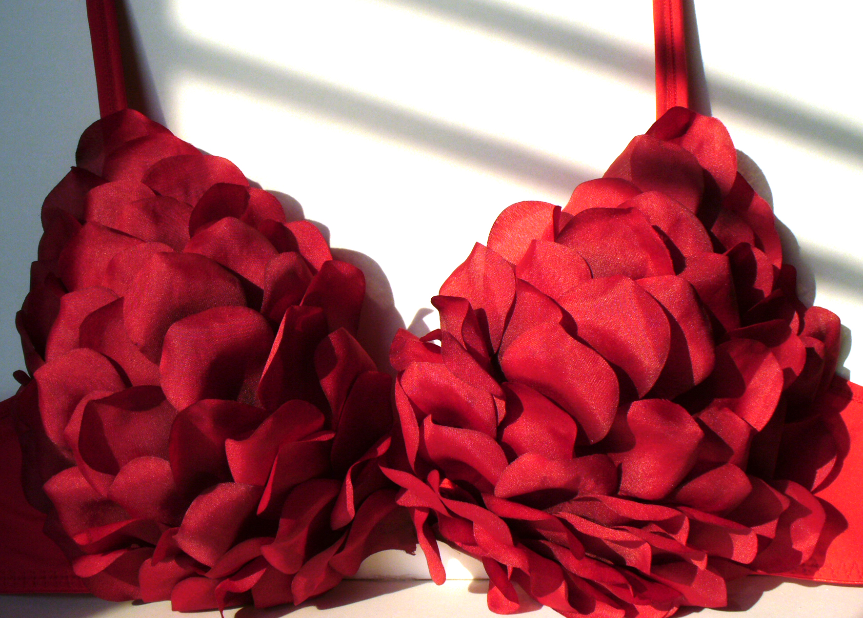 Rose petal bra Clearance