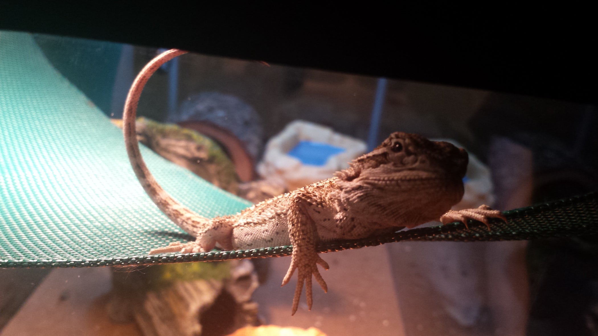 Cricket Storage and Feeding Container 4 Steps Instructables