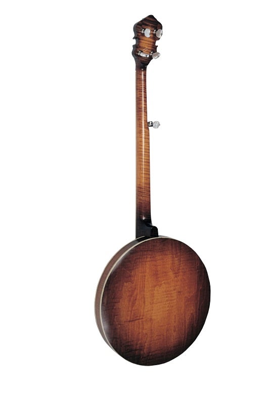How To Build A Bluegrass-Style Five-String Banjo : 7 Steps - Instructables