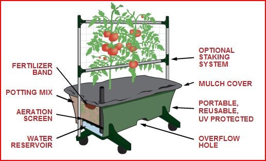 Terrahydro Boxes The Ultimate Self Watering Vegetable Container System Aka Terahydro Box Tetrahydro Box Diy Earthbox Or Diy Grow Box 9 Steps Instructables Terrahydro Boxes The Ultimate Self Watering Vegetable Container System Aka Terahydro Box Tetrahydro Box Diy Earthbox Or Diy Grow Box 9 Steps Instructables