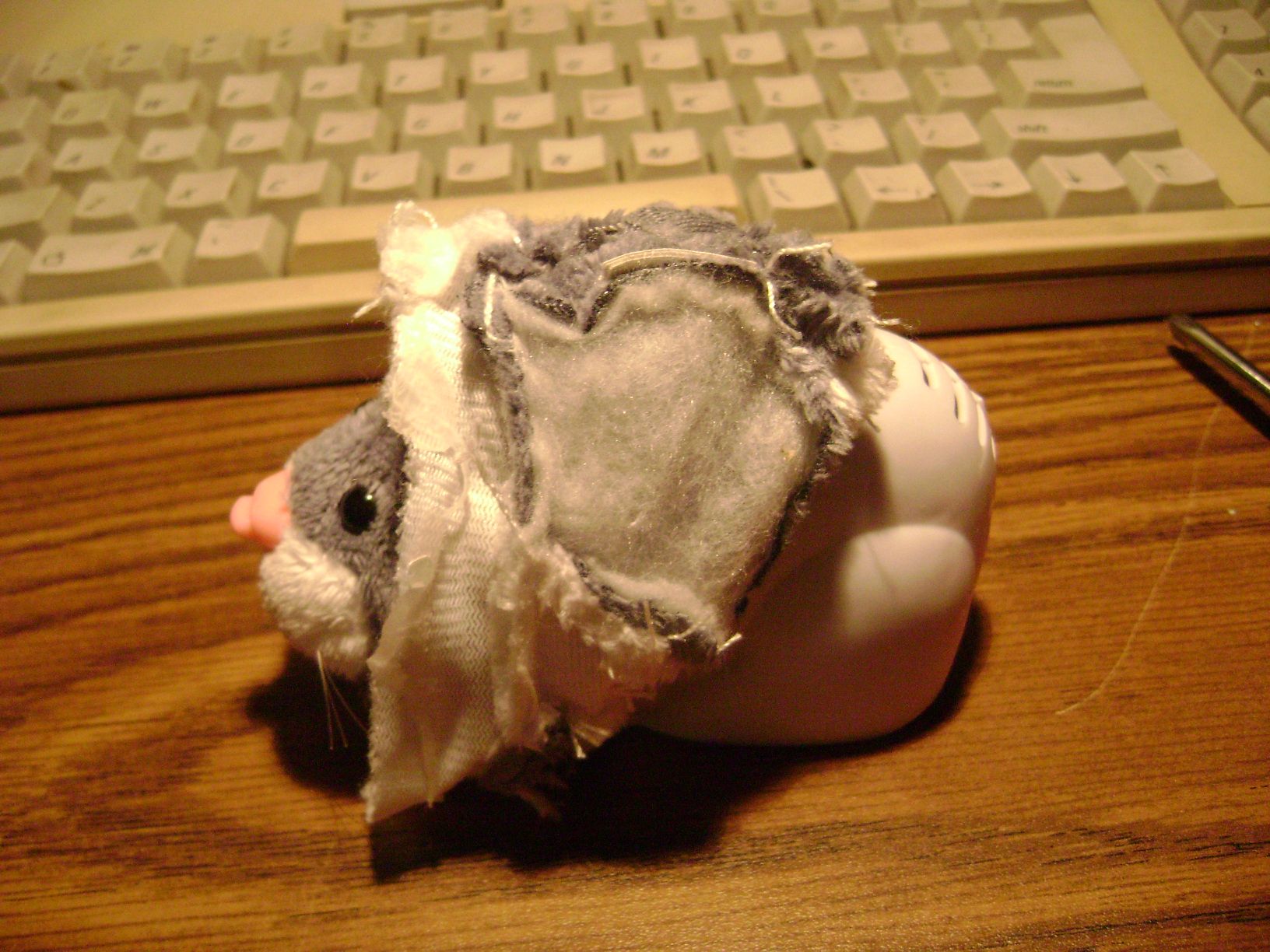 Evil Zhu Zhu Pet 6 Steps Instructables