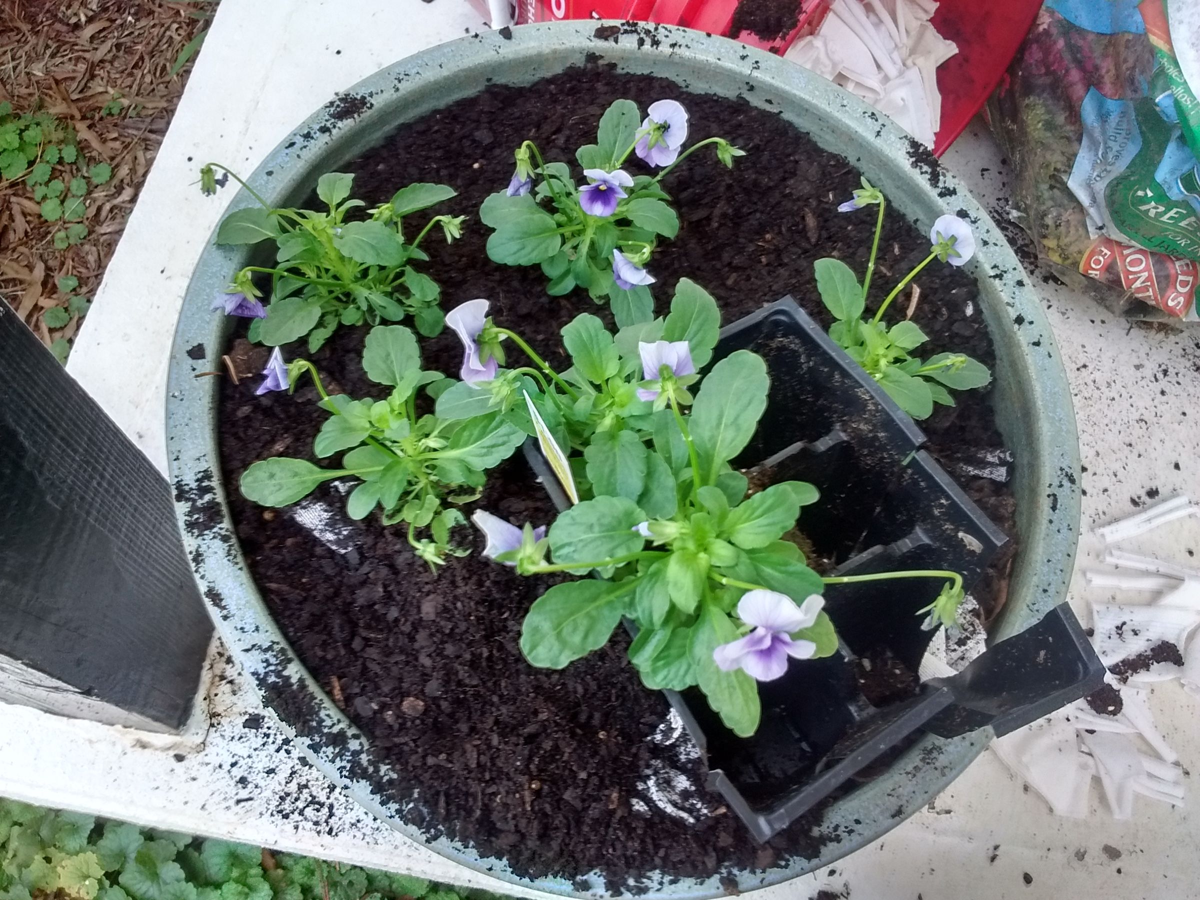 How to Compost Old Cotton TShirts 6 Steps (with Pictures