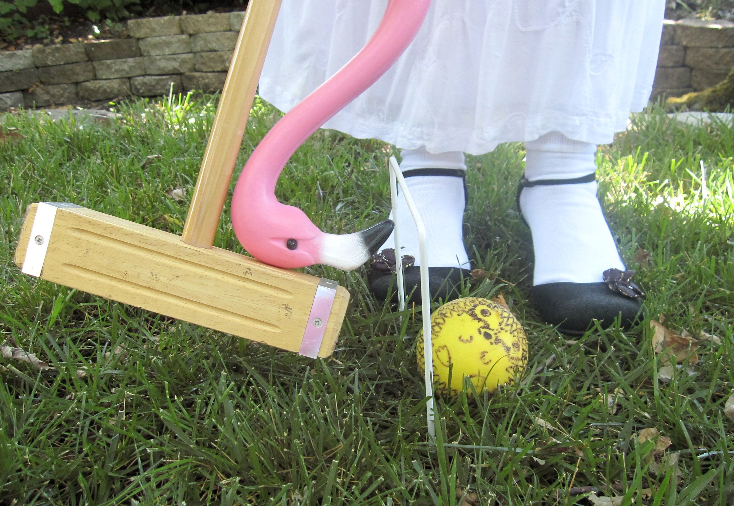 Pink Flamingo Croquet 5 Steps (with Pictures) Instructables