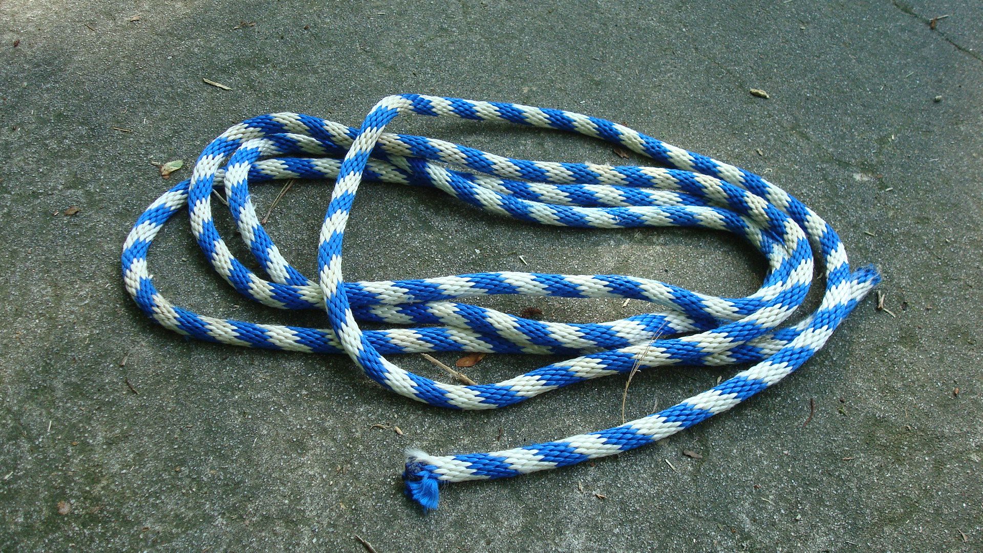How to Climb a Tree (using Only Rope!) the Fun/simple Way 6 Steps