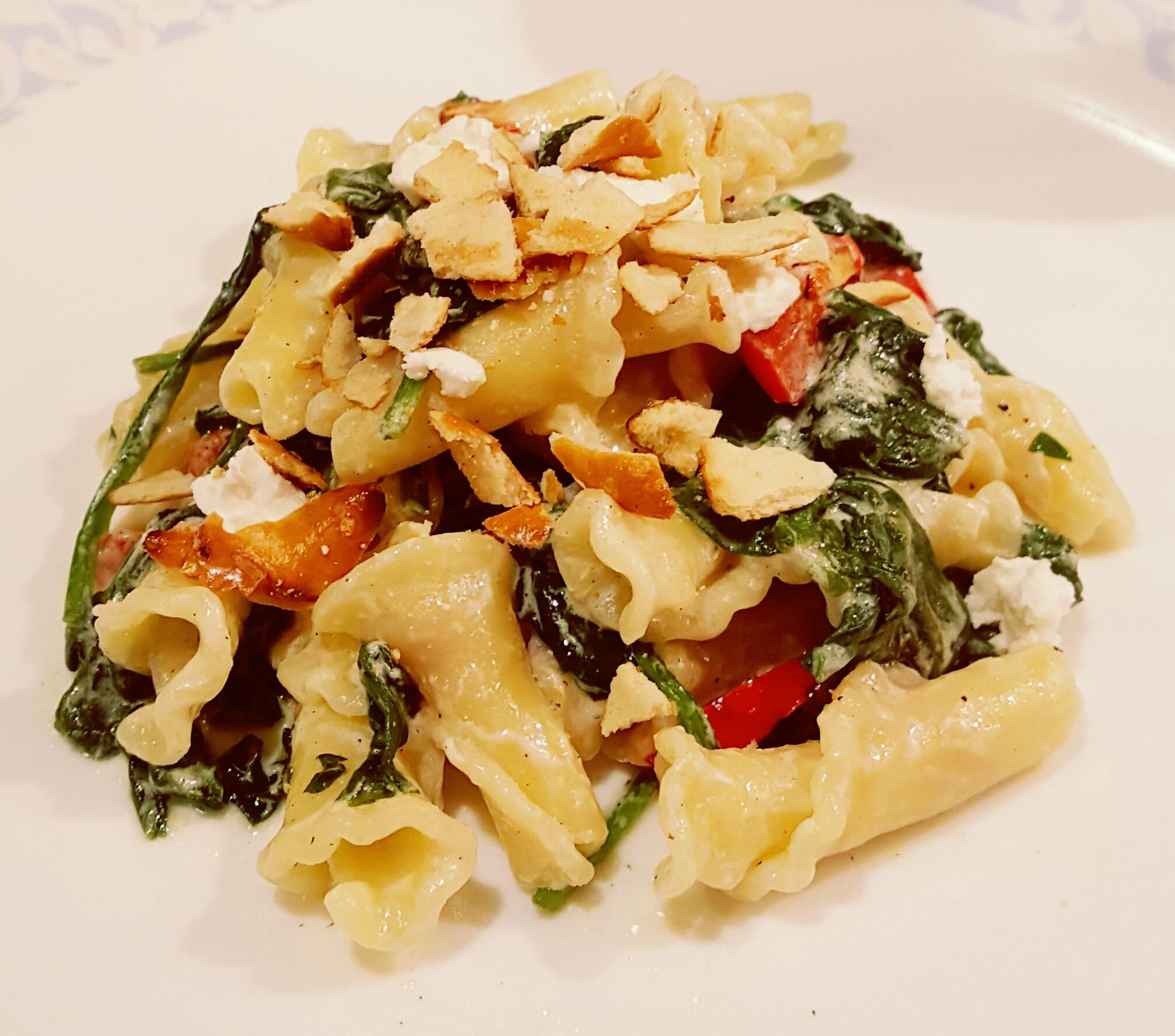 Goat Cheese White Sauce Pasta