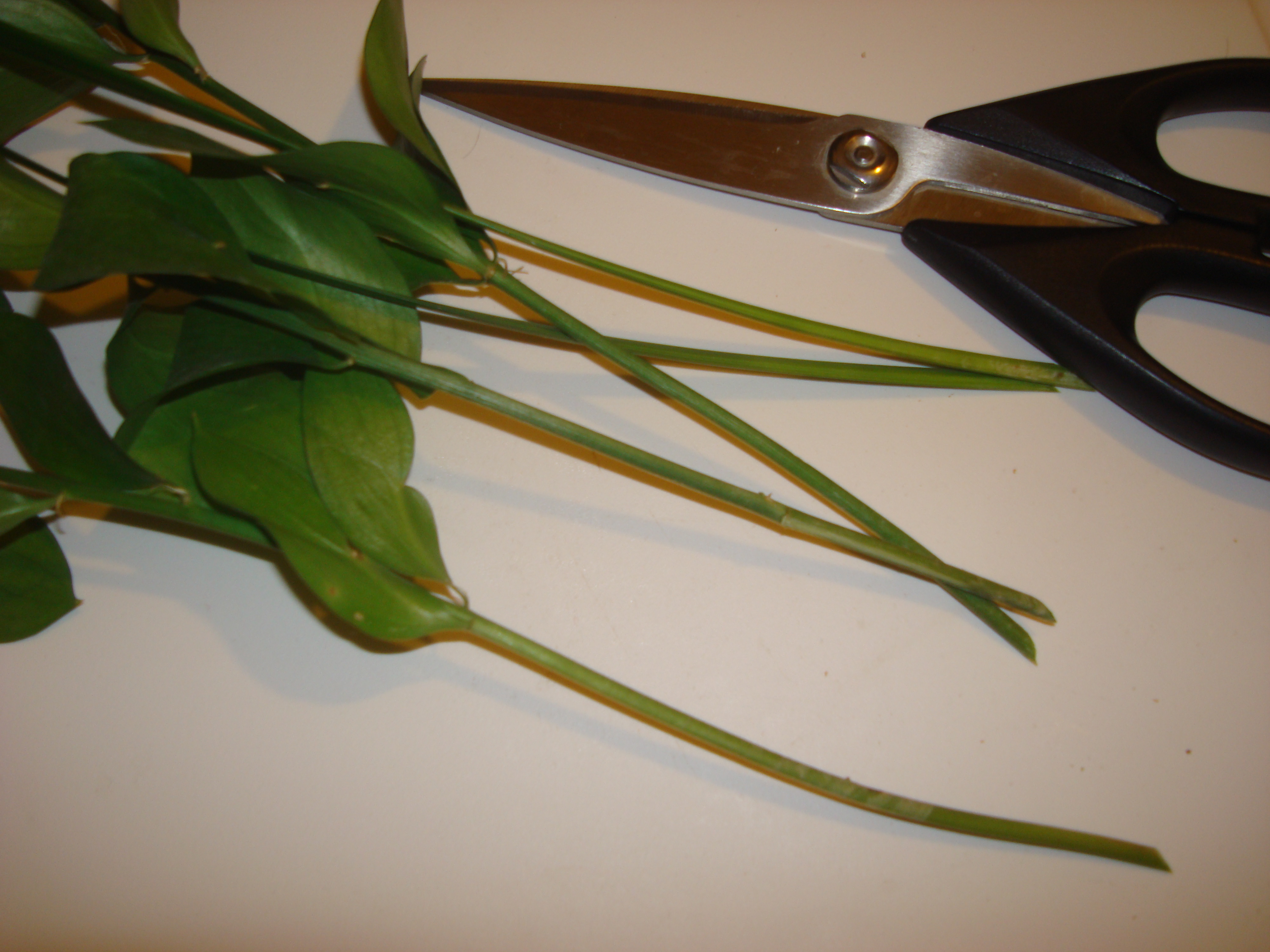 Fresh Cut Flower Preservative 6 Steps Instructables