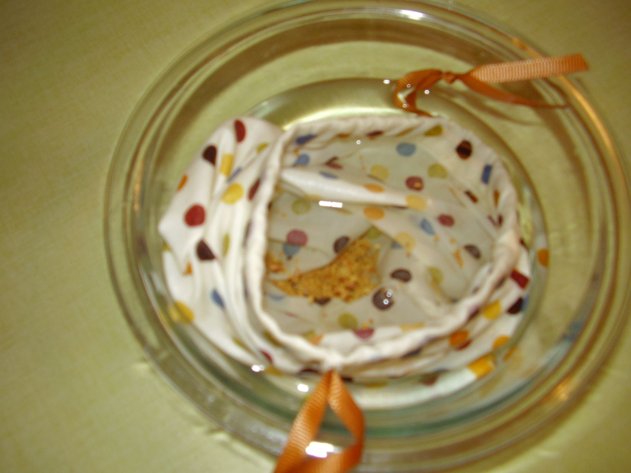 How to Make & Use a SeedSprouting Bag 5 Steps (with Pictures