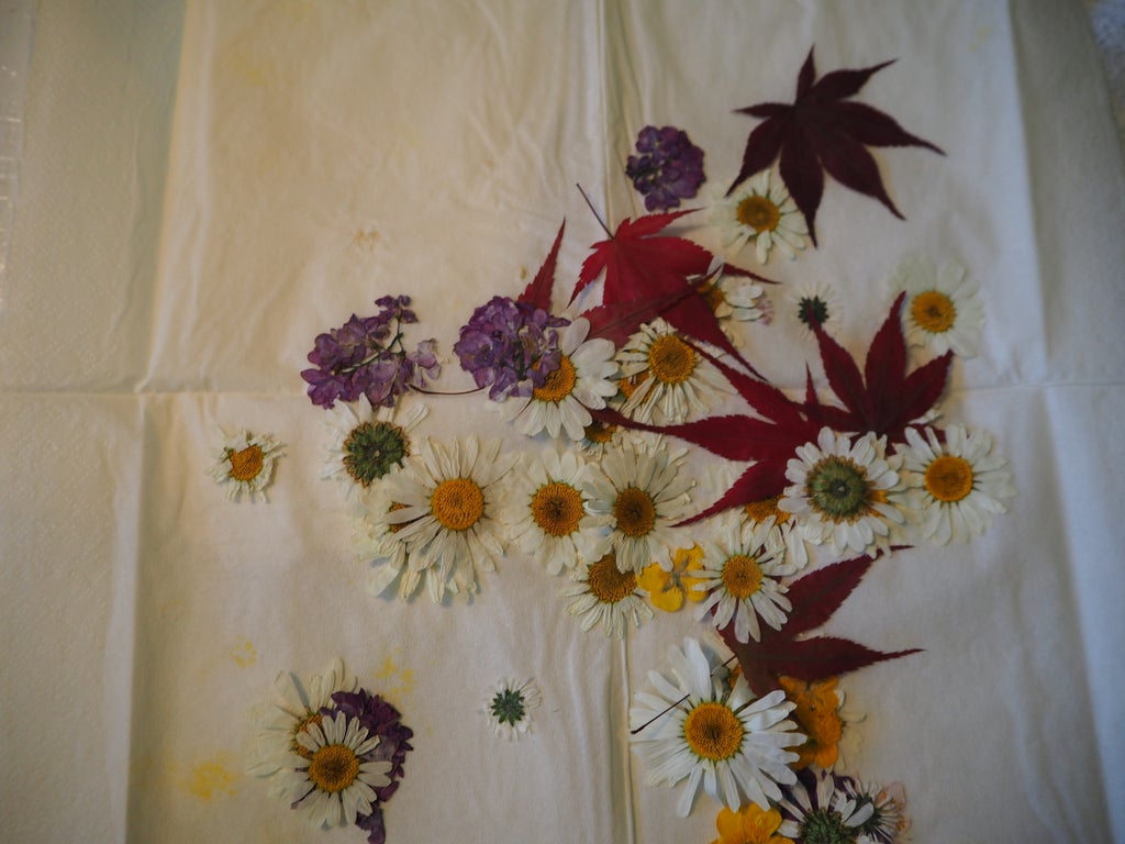 Techniques To Embed Flowers In Resin 12 Steps With Pictures Instructables