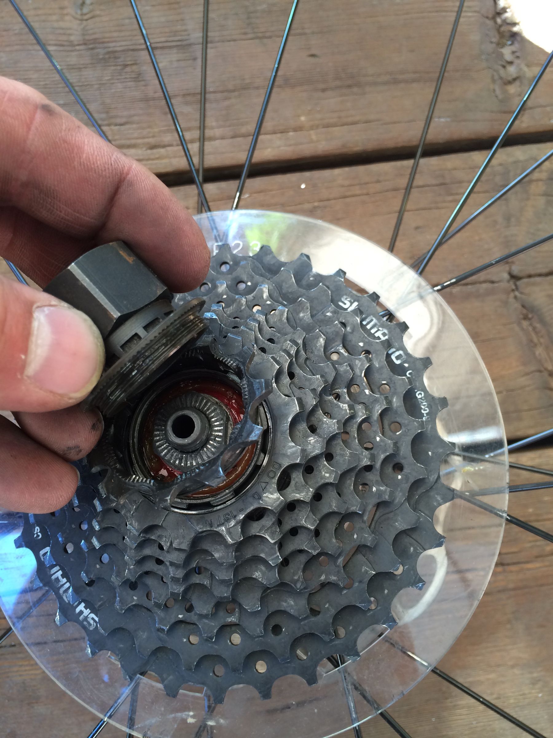 Broken Spoke Repair/Replace 8 Steps (with Pictures) Instructables