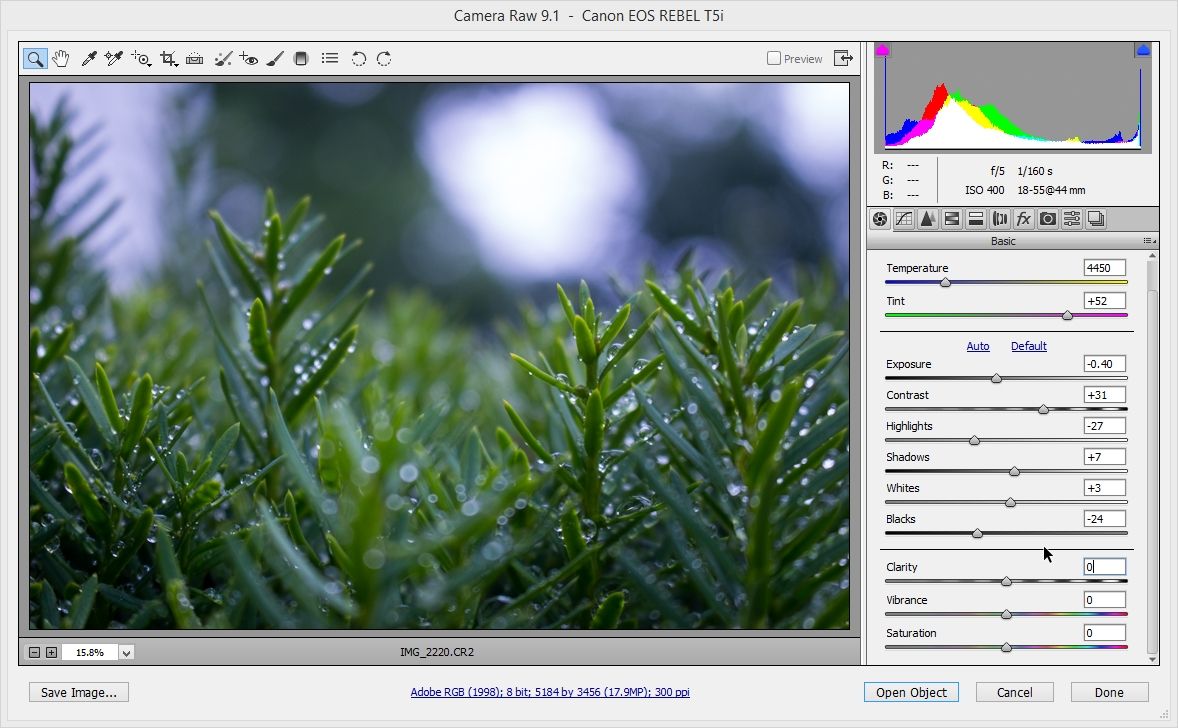 A Complete Beginner S Guide To Raw Files And Raw Processing 11 Steps With Pictures Instructables