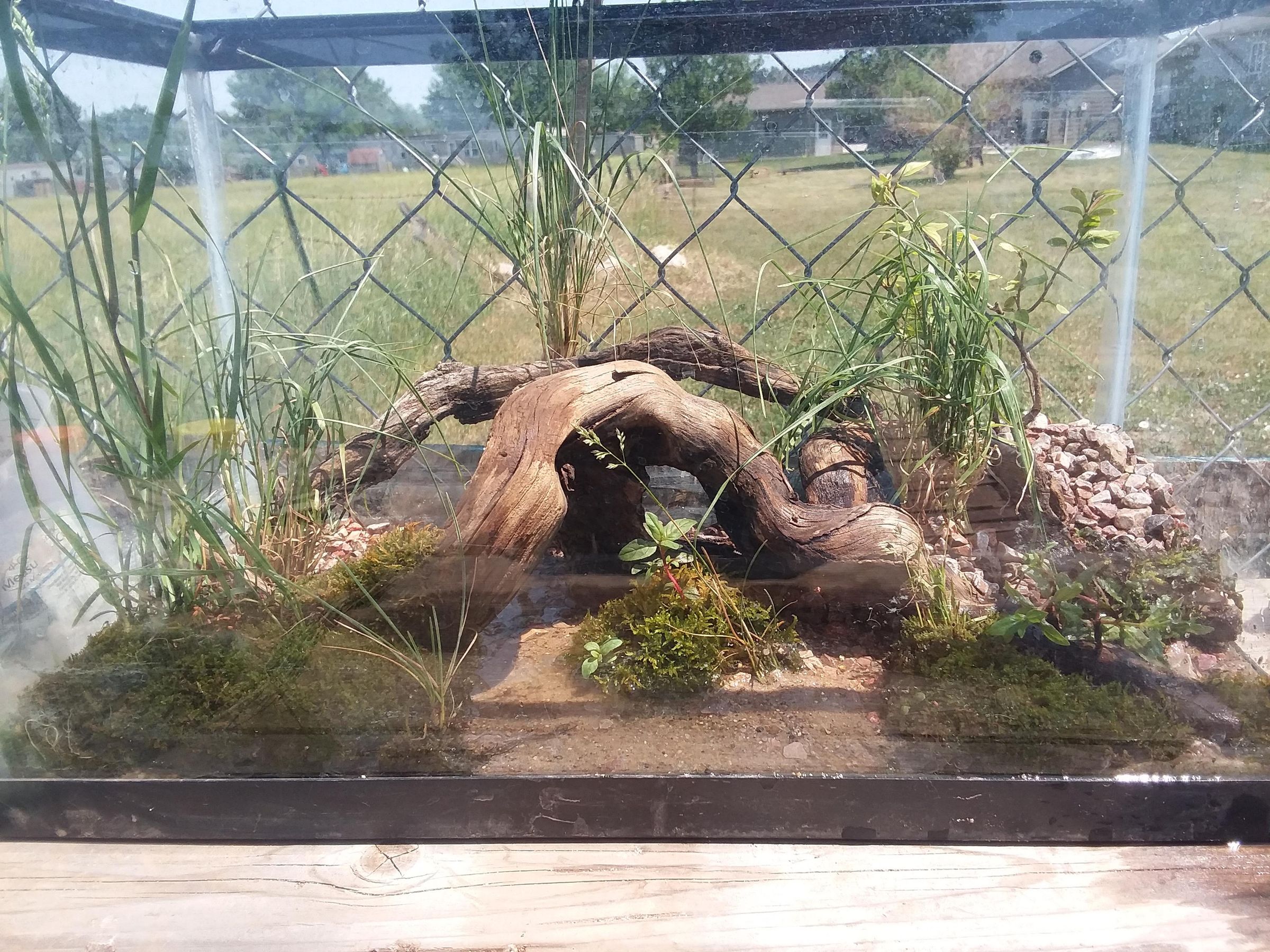 Baby Turtle Tank Setup 6 Steps Instructables